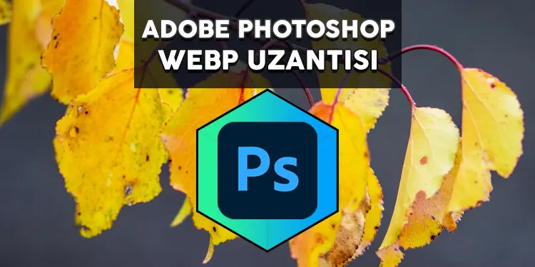 photoshop webp